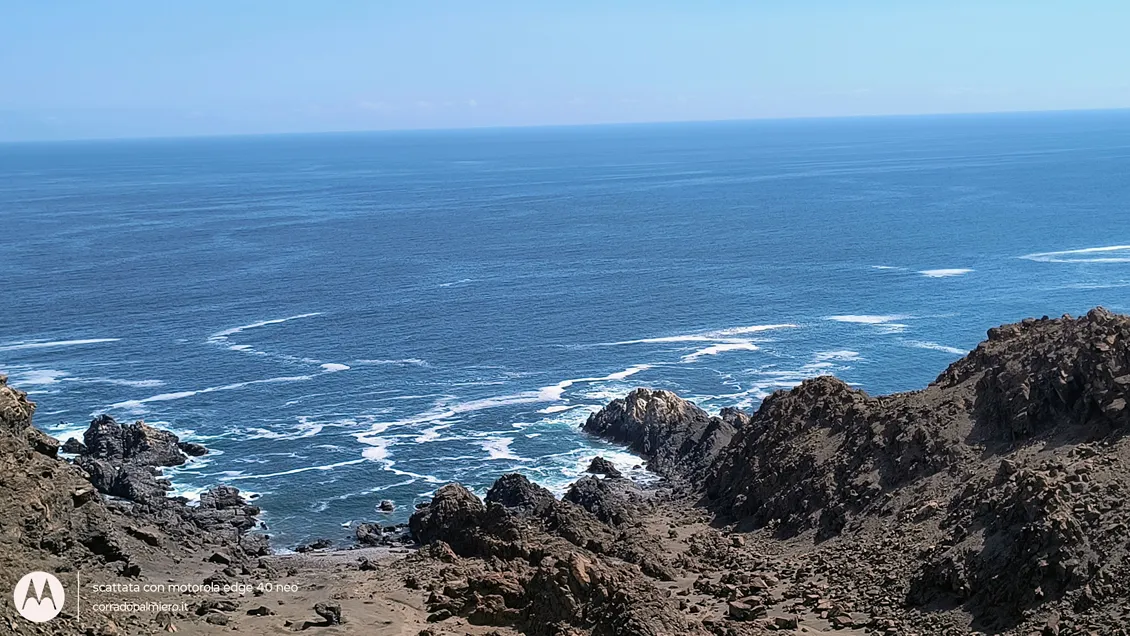 Rapaci che volteggiano sopra la costa del Pacifico