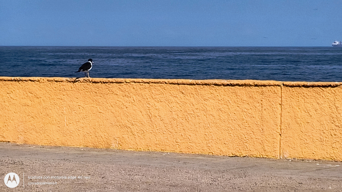 Antofagasta lungo la costa del Pacifico