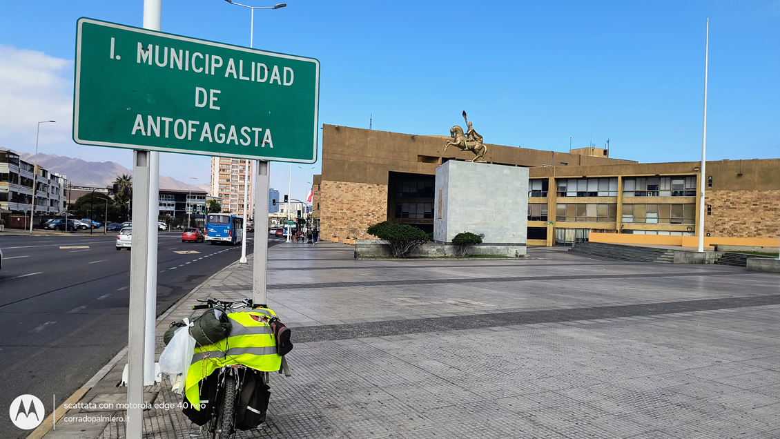 Uccello sul lungomare di Antofagasta con il Pacifico sullo sfondo
