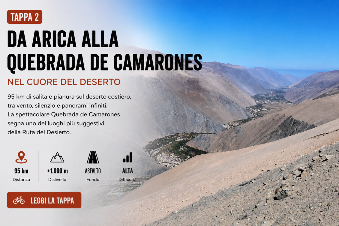 Arica